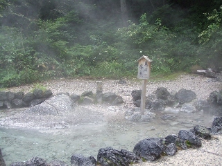 2009_0812 はる0167.jpg