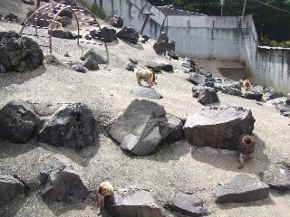 2009_0812 はる0181.jpg