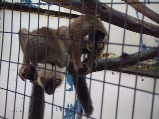 2009_0812 はる0195.jpg
