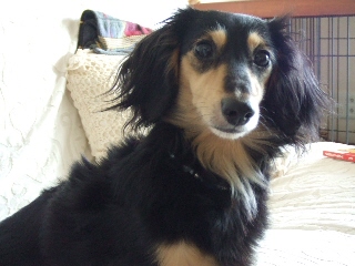 2009_0820 はる0015.jpg