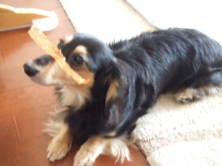 2009_0820 はる0022.jpg