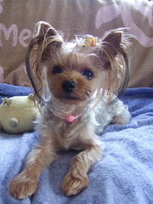 2009_0822 はる0012.jpg
