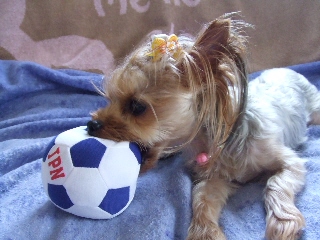 2009_0822 はる0013.jpg