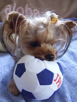 2009_0822 はる0014.jpg