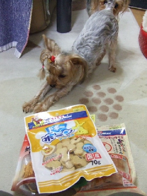 2009_0830 はる0008.jpg