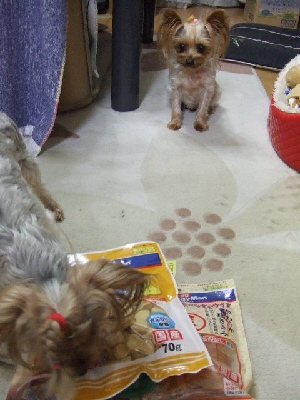 2009_0830 はる0010.jpg