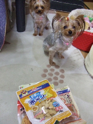 2009_0830 はる0014.jpg