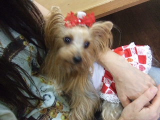2009_0902 はる0036.jpg