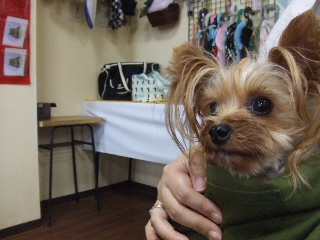 2009_0902 はる0039.jpg