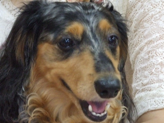 2009_0902 はる0048.jpg