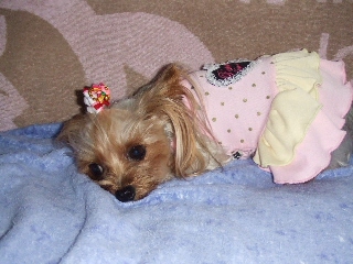 2009_0904 はる0013.jpg