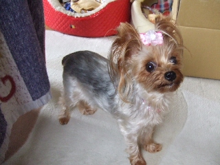 2009_0909 はる0037.jpg