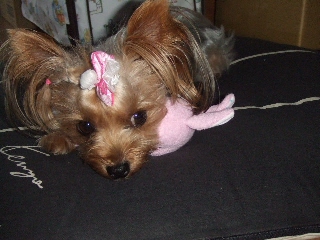 2009_0912 はる0021.jpg
