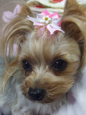 2009_0916 はる0028.jpg
