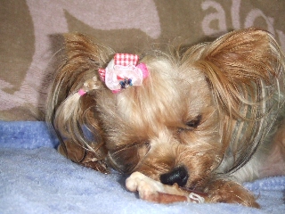 2009_0916 はる0032.jpg
