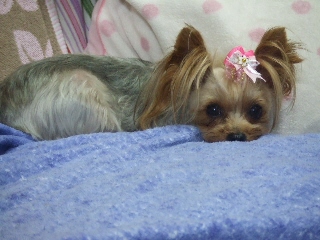 2009_0916 はる0035.jpg