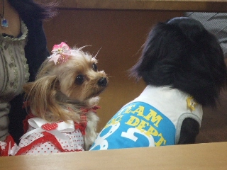 2009_0917 はる0029.jpg