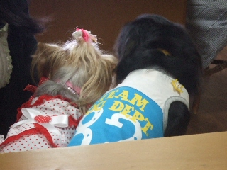 2009_0917 はる0030.jpg