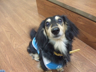 2009_0917 はる0036.jpg
