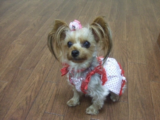 2009_0917 はる0040.jpg