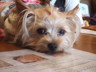 2009_0921 はる0025.jpg