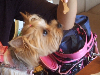2009_0921 はる0041.jpg