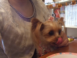 2009_0921 はる0045.jpg