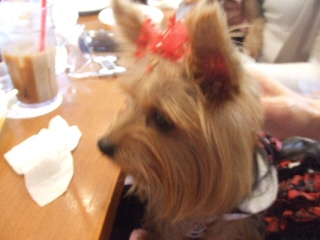 2009_0921 はる0046.jpg