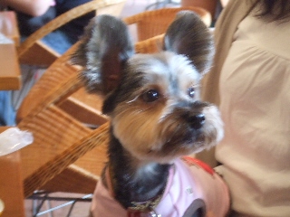 2009_0921 はる0050.jpg