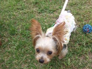 2009_0921 はる0068.jpg