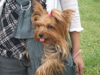 2009_0921 はる0078.jpg