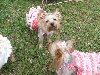 2009_0921 はる0085.jpg