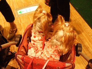 2009_0921 はる0105.jpg