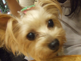 2009_0921 はる0110.jpg