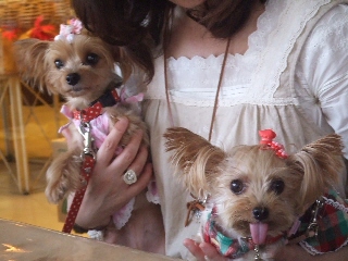 2009_0925 はる0202.jpg