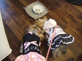 2009_0928 はる0035.jpg