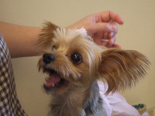 2009_0928 はる0038.jpg