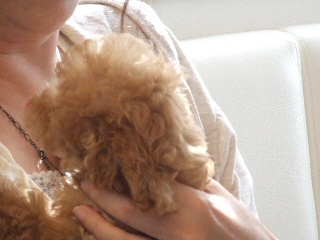 2009_0928 はる0043.jpg