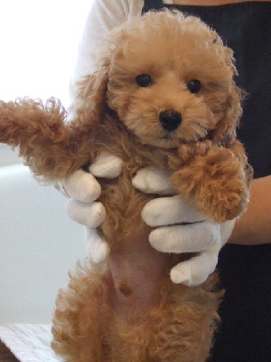 2009_0928 はる0049.jpg