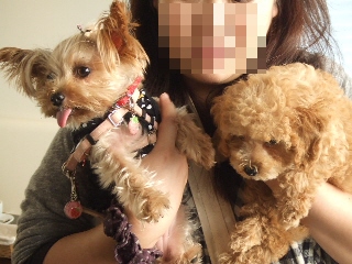 2009_0928 はる0077.jpg