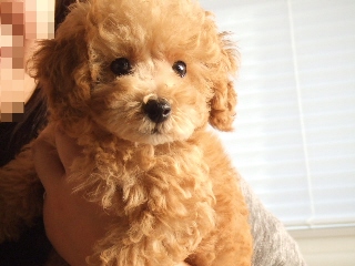 2009_0928 はる0078.jpg