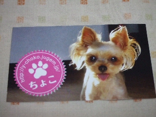 2009_0928 はる0093.jpg