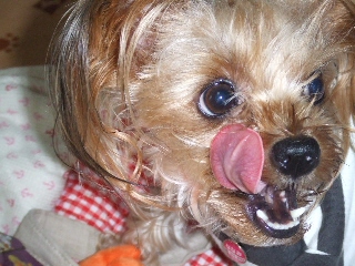2009_1005 はる0025.jpg