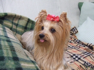 2009_1005 はる0047.jpg