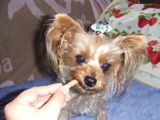 2009_1007 はる0018.jpg