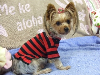 2009_1010 はる0048.jpg