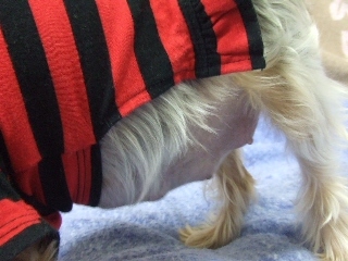 2009_1010 はる0054.jpg