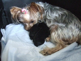 2009_1011 nanababy-7.jpg