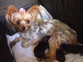 2009_1011 nanababy.jpg