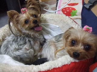 2009_1012 003.jpg